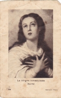 La Virgen Inmaculada