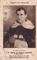 P. Fr. Domingo del Santisimo Sacramento
